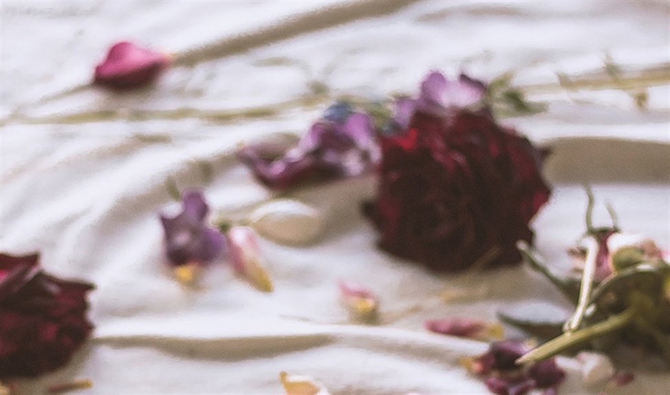 Mooi wonen: droogbloemen zijn weer terug van weggeweest