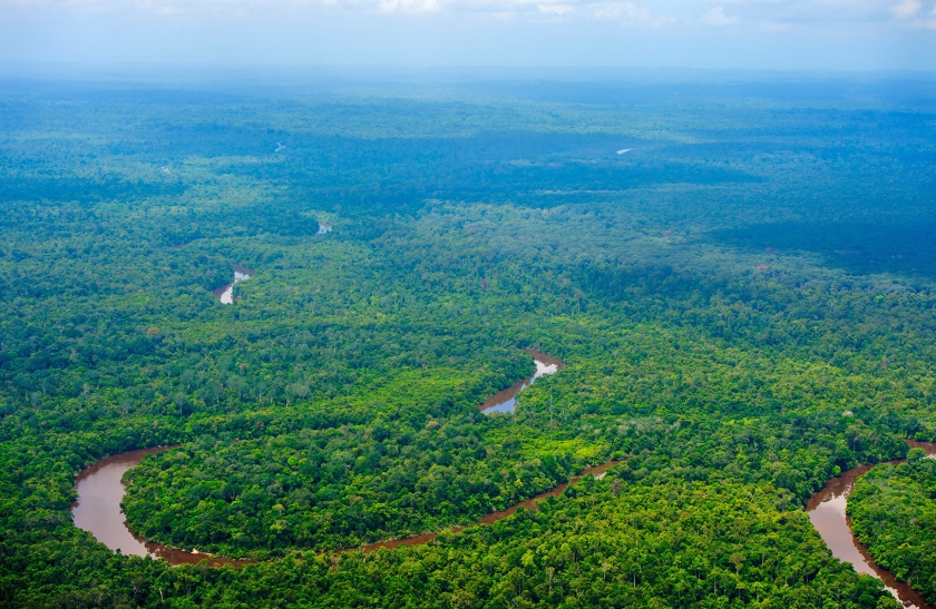 Uitgestrekte bossen op Borneo. Wetenschappers zijn het erover eens dat herbebossing en bosbescherming heel belangrijk kunnen zijn voor het klimaat.  (anp / Robin Utrecht)