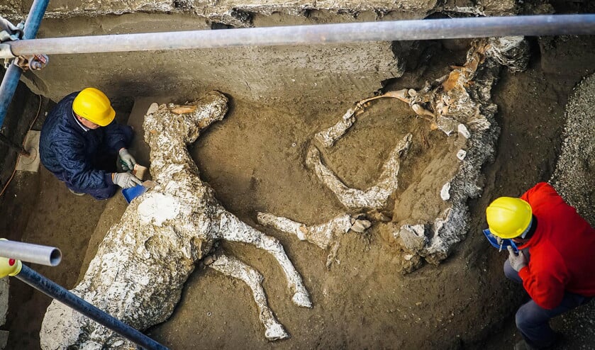 In mei 2018 werden in Pompeiï het skelet van een paard en de resten van een stal gevonden. (epa / Cesare Abbate)