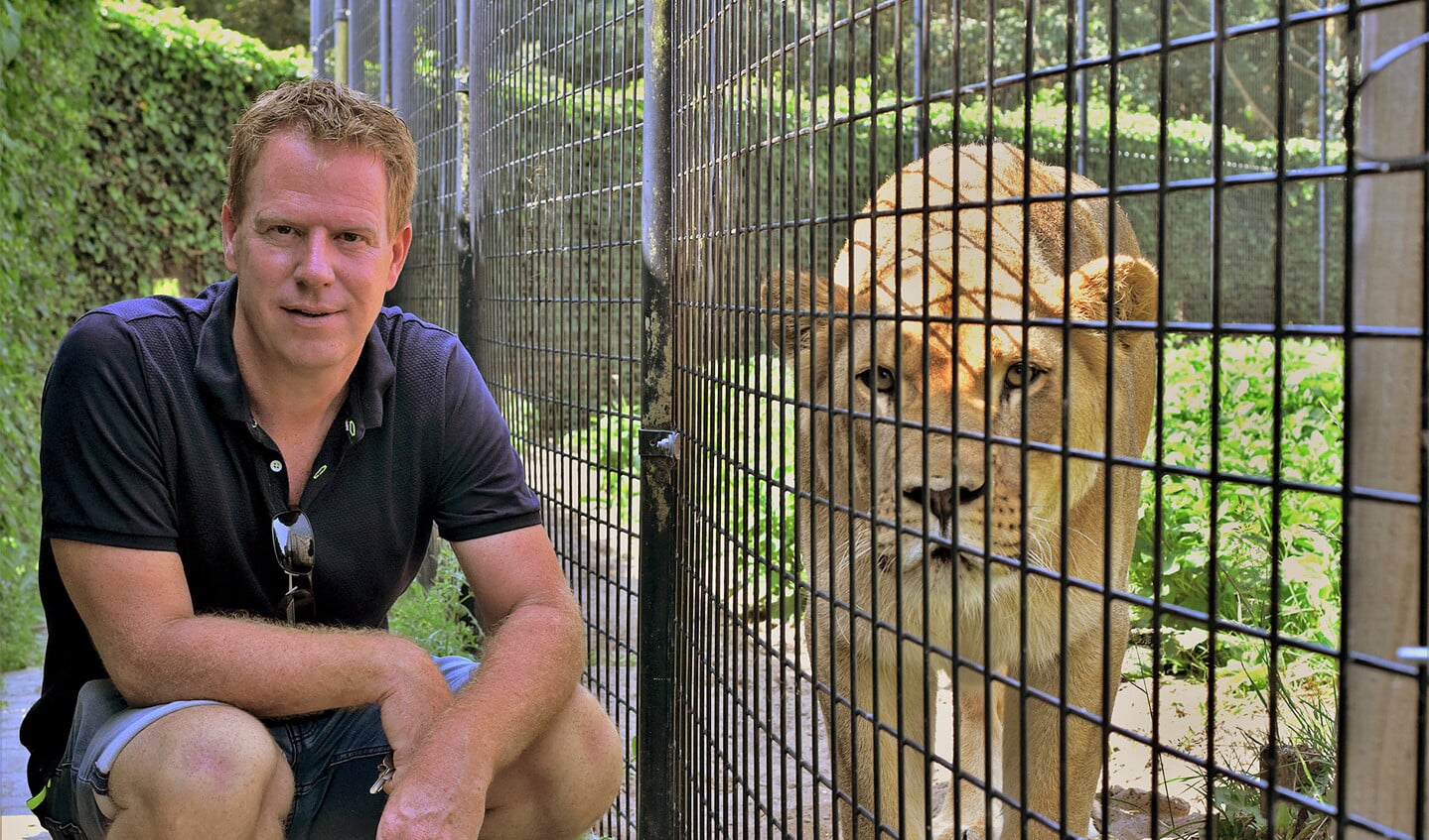 Robert Kruijff vangt met stichting Leeuw verwaarloosde leeuwen en tijgers op. Dat de meeste leeuwen en tijgers uit circussen afkomstig zijn, betekent dat er op den duur een eind komt aan de toestroom.