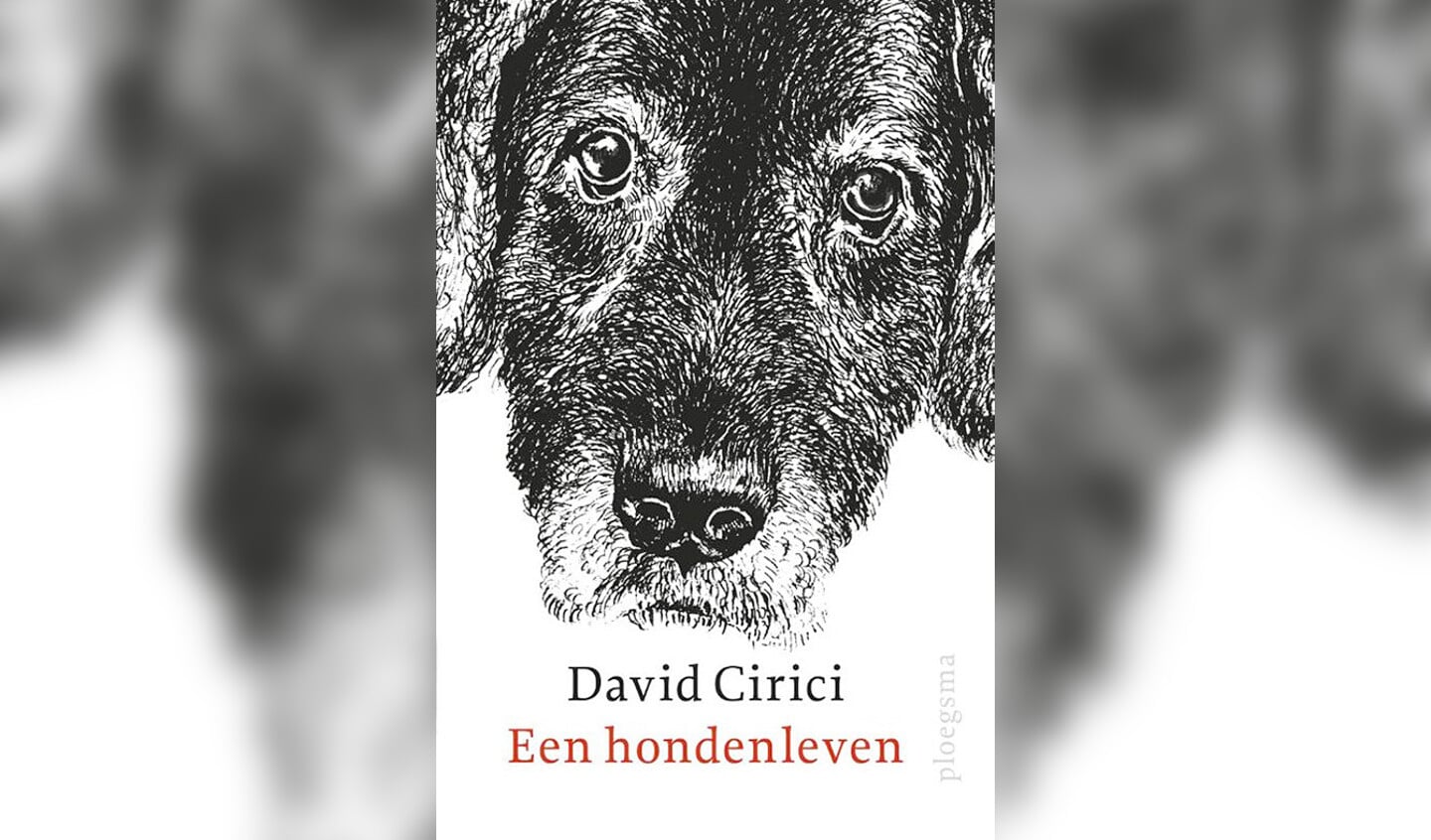 Recensies: Hoe maak je een boek?, ABC- Lees je mee?, Een hondenleven