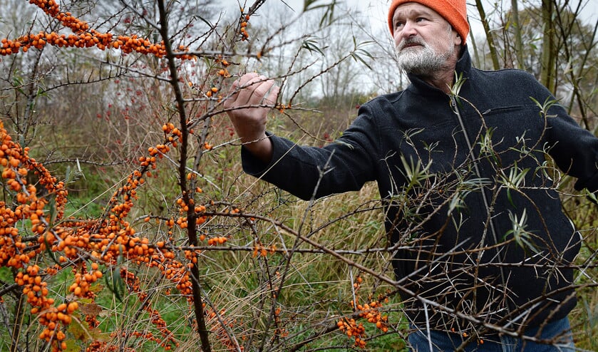 Mark Shepard: ‘Elk jaar maïs of tarwe, dus ploegen, zaaien, maaien, oogsten: een ecologische misdaad.’ (Marcel van den Bergh)