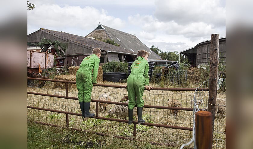 Zorgboerderij de Heemen in Stedum. beeld Marieke Kijk in de Vegte (Harry CockMarieke Kijk in de VegteHarry CockHarry CockHarry CockMarieke Kijk in de VegteMarieke Kijk in de Vegte)