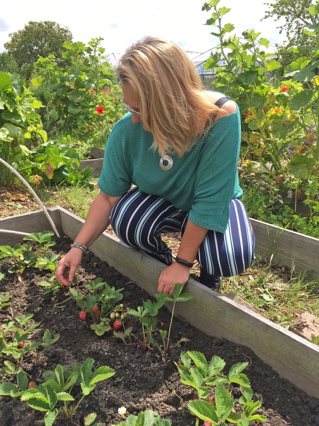 Natascha van der Klooster bij haar aardbeien. (Marco Bosmans)
