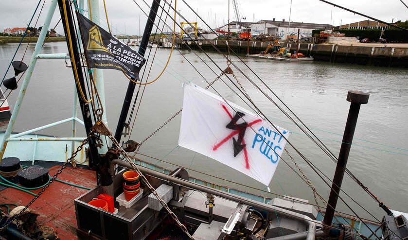 Met een spandoek protesteert deze visser in de haven van Nieuwpoort tegen het aanstaande verbod op de pulsvisserij.  (afp photo / Kurt Desplenter)