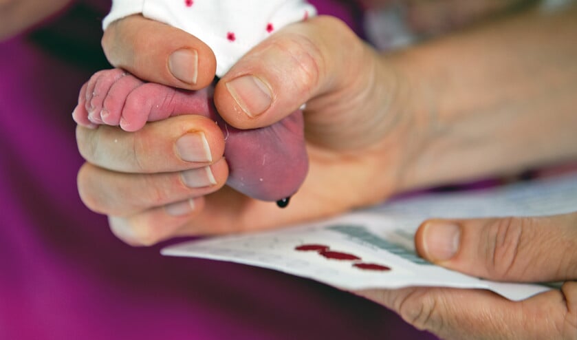 Bij een pasgeboren baby wordt er via een hielprik bloed afgenomen. Met de hielprik kan een aantal zeldzame, maar ernstige aandoeningen worden opgespoord. (beeld)