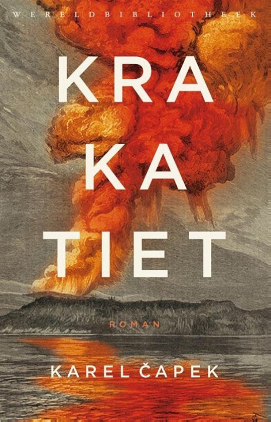 Literatuur: een roman als een pleidooi voor kleine dingen