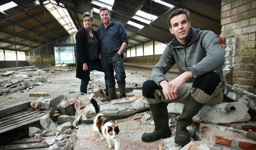 Biëlla, Theo en Bram van Beekveld in de lege koeienstal van het familiebedrijf in Heeswijk-Dinther. (Marcel van den Bergh)