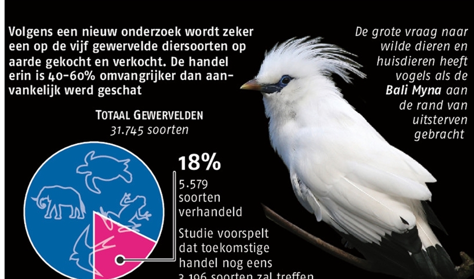 Uitsterven diersoorten door dierenhandel