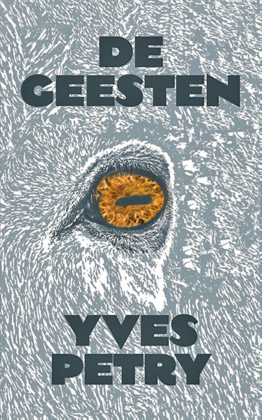 Dit met vaart geschreven boek houdt zogenaamde zekerheden tegen het licht