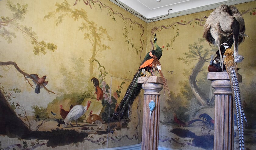 In de Fazantenkamer plaatsten Sinke en Van Tongeren opgezette fazanten en andere kleurrijke vogels. (Kees de Heer)