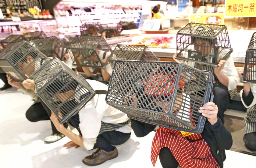 Medewerkers van een supermarkt bedekken hun hoofd met winkelmandjes tijdens een rampoefening in de Japanse stad Kobe. Het doel van de oefening was om de veiligheid van burgers bij aardschokken te vergroten (ap / Yuta Omori)