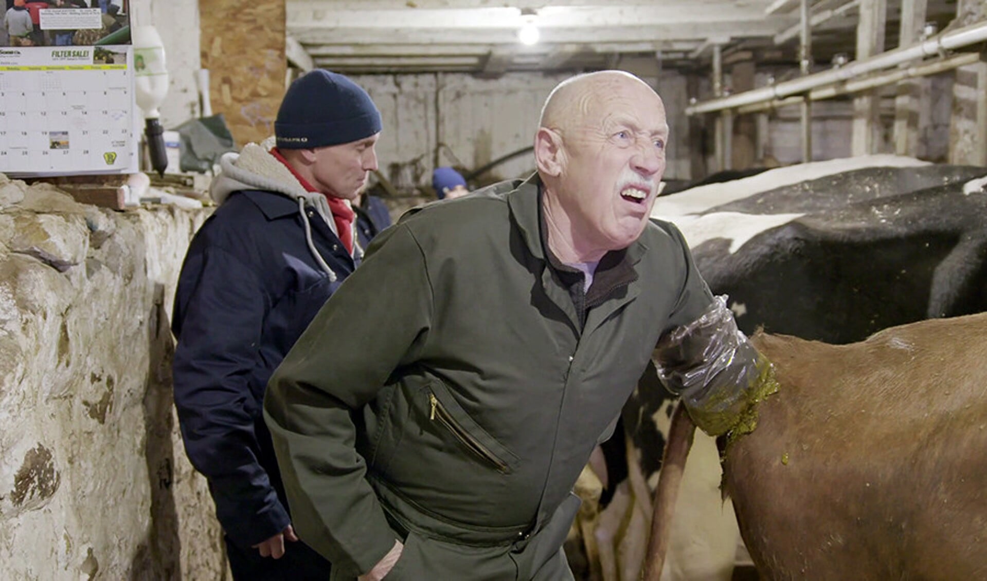 Vanavond op tv: solliciteren bij Dr. Pol - Nederlands Dagblad. De  kwaliteitskrant van christelijk Nederland