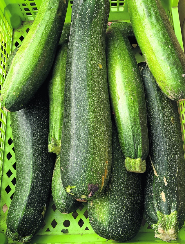 recept: macaronischotel met courgette (ap)