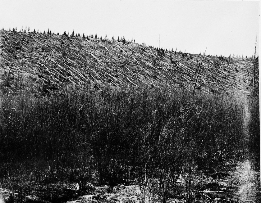 In 1908 werd tweeduizend vierkante kilometer naaldwoud in Siberië in een fractie van een seconde platgeslagen. De eerste foto’s, waaronder deze, dateren uit 1927. (Leonid Kulik)