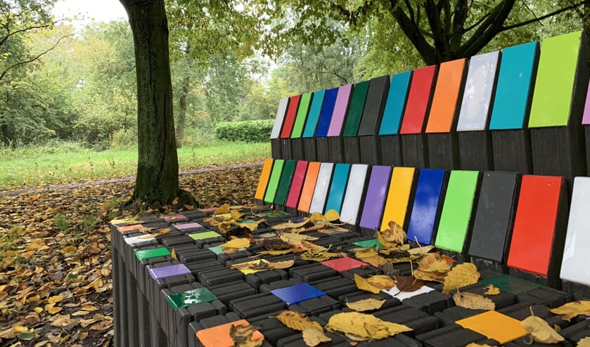beeld Erica van Leeuwen-De Bruijn, Kloetinge • Wat kleur op een grijze herfstdag in het park in Goes. (Erica van Leeuwen-De Bruijn, Kloetinge Sylvia Jacobi-Riepema, Buitenpost Astrid Oosterhuis, Hilversum Joke Westerhof, Beverwijk Arjen Kruisman, Amsterdam)