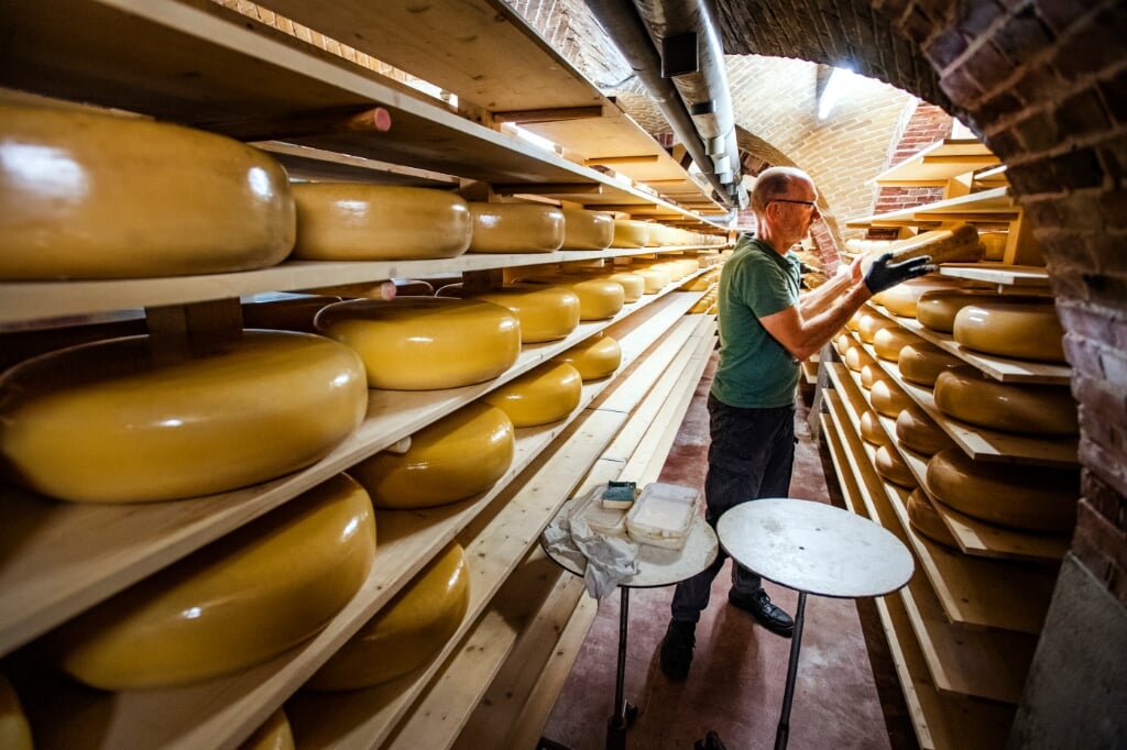 BERKEL-ENSCHOT
Eindhovenseweg
Abdij Onze Lieve Vrouwe van Koningshoeven
Broeder Isaac gaat 15000 kg trappistenkaas veilen (beeld Jeroen van Eijndhoven / Beeld Werkt)
