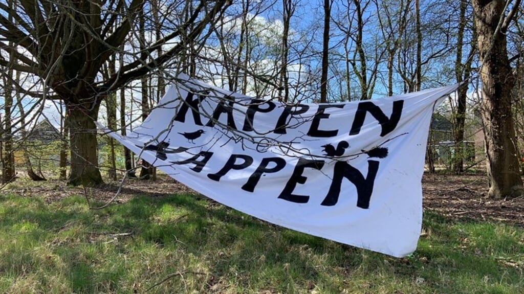 In de toekomst zal Aa en Hunze beter communiceren welke bomen gekapt zullen worden en waarom. (beeld RTV Drenthe)