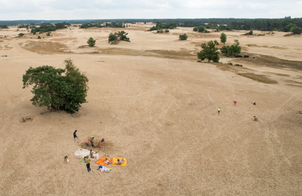 Vanaf de locatie van de uitkijktoren op het Kootwijkerzand is het dichtstbijzijnde toilet zes kilometer verderop in Harskamp. (beeld Hans-Lukas Zuurman)