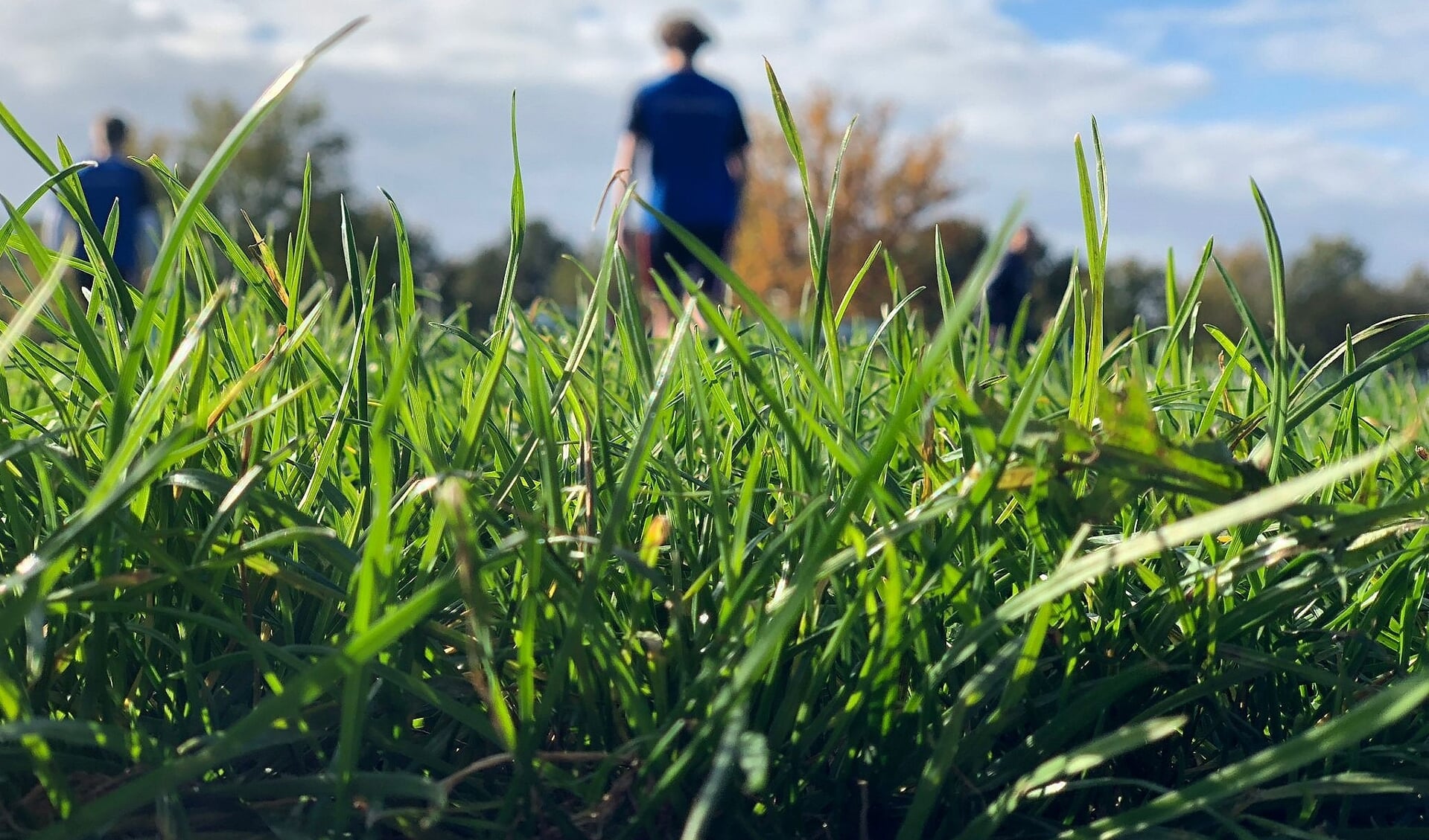 Erg lang gras in Aadorp