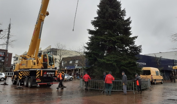 <p>Met vereende krachten werd de grote kerstboom op het Marktplein geplaatst.&nbsp;</p> 