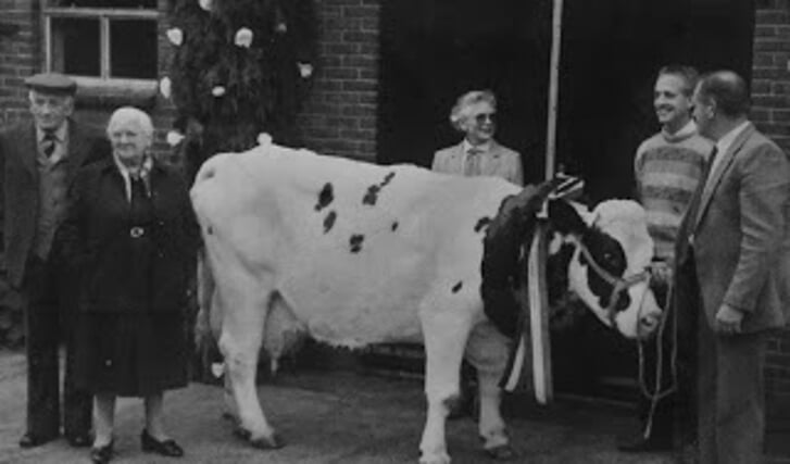 Afbeelding