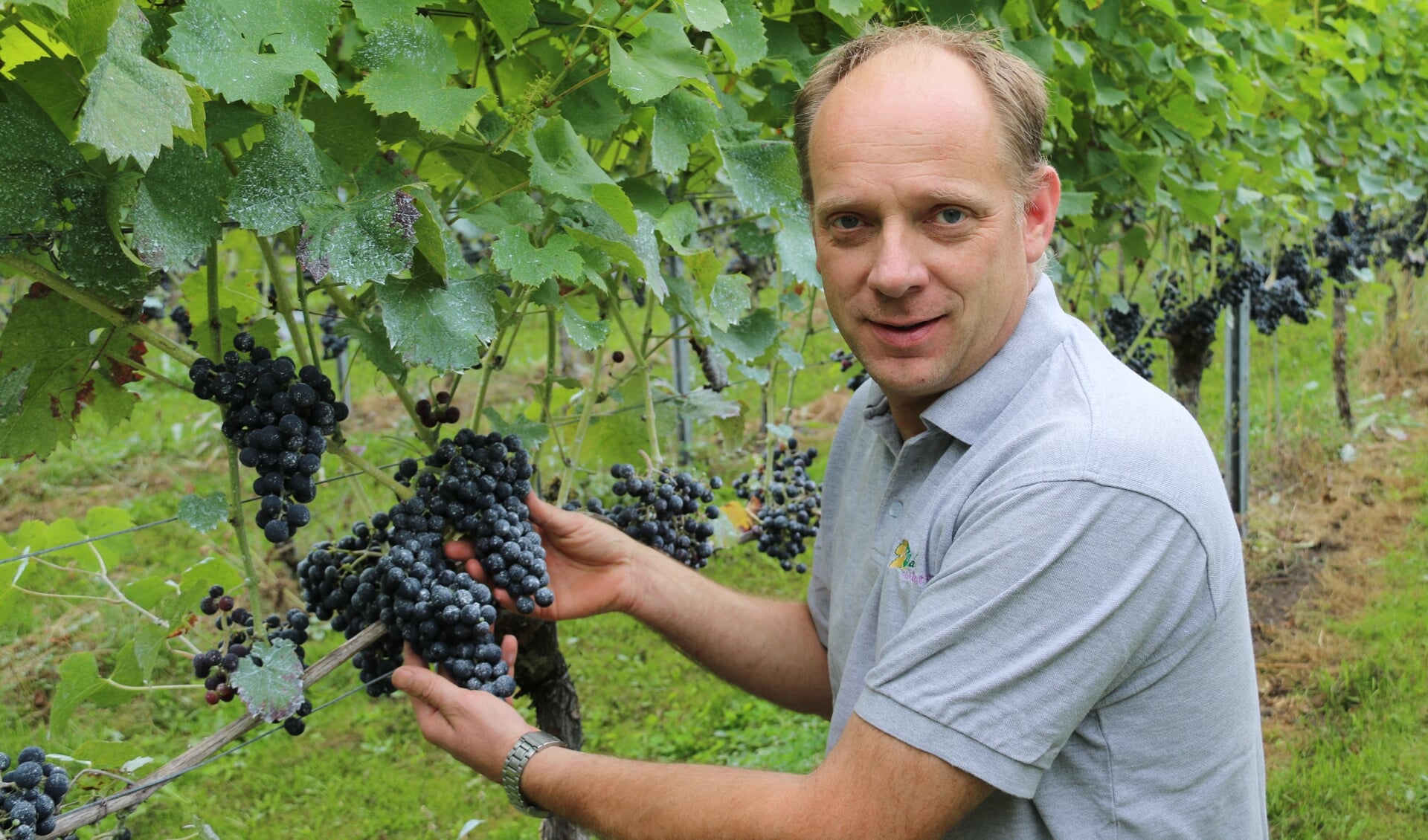 Eigenaar van de wijngaard John van den Hoven.