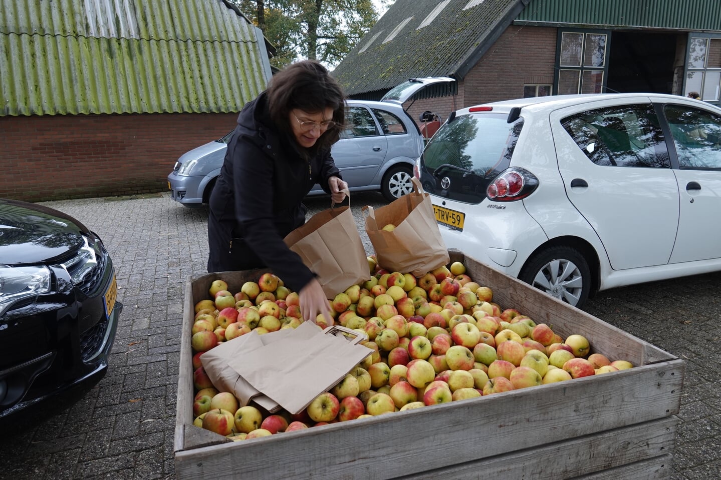 Duizenden appels voor een schijntje af te halen - De Toren Hardenberg