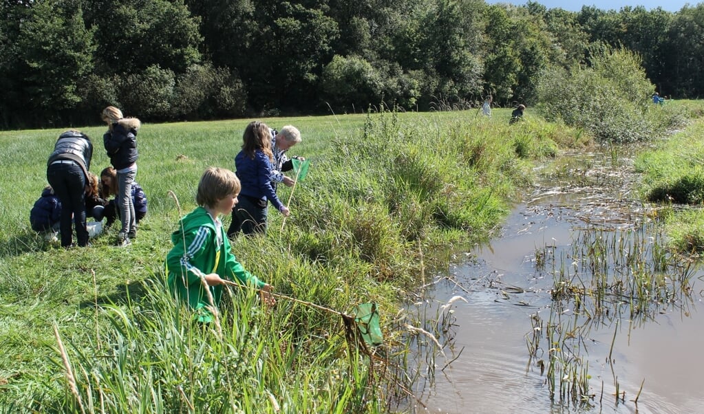 In het riviertje de Reest leven heel veel verschillende soorten waterdiertjes. 