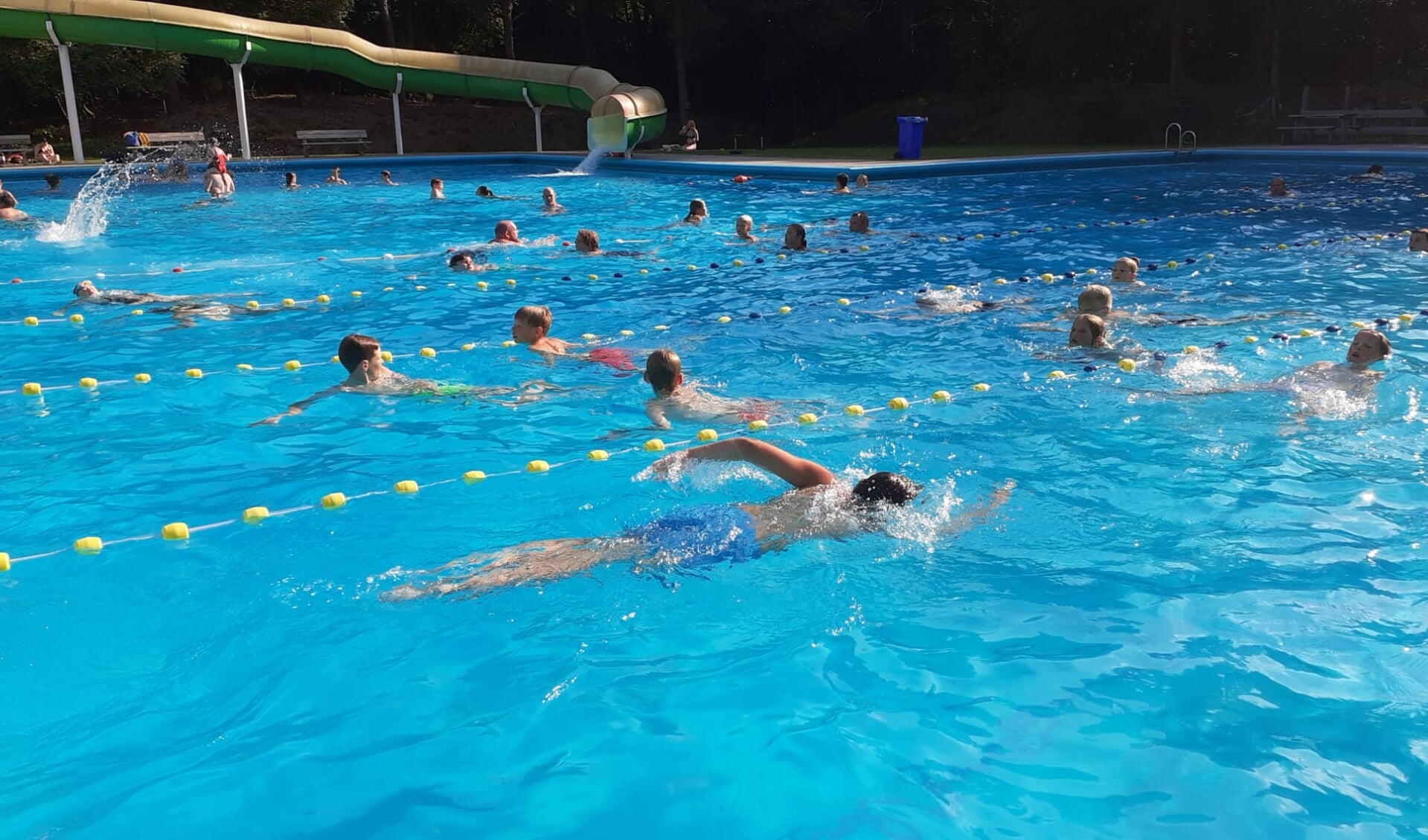De 102 deelnemers aan de zwem4daagse in het Heuveltjesbosbad vermaakten zich opperbest. 