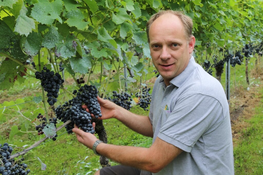 Eigenaar van de wijngaard John van den Hoven.
