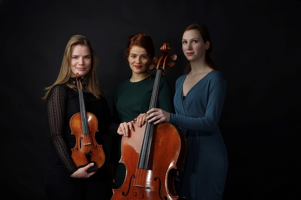 Het Volkmann Trio speelt de sterren van de hemel op 20 februari in de Reestkerk. 