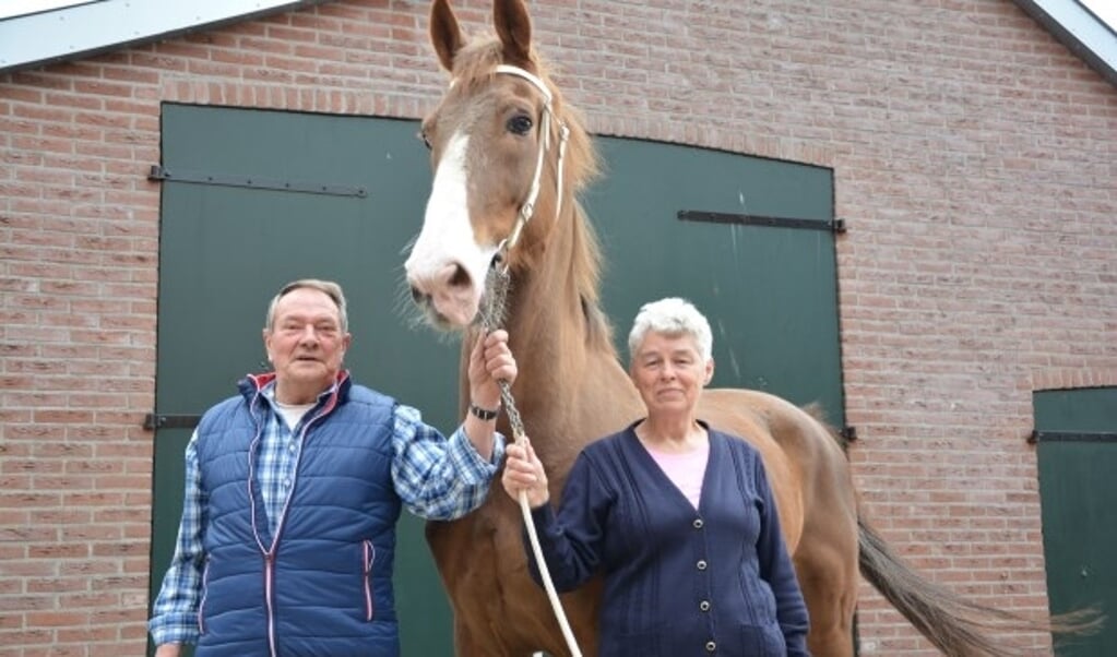 Mech en Henk Fikse zijn vanaf het eerste uur betrokken bij Stichting Tuigpaardenconcours Doornspijk en beide bestuursleden zijn dol op hun paard Wild Rose F. foto: Cor Sellis