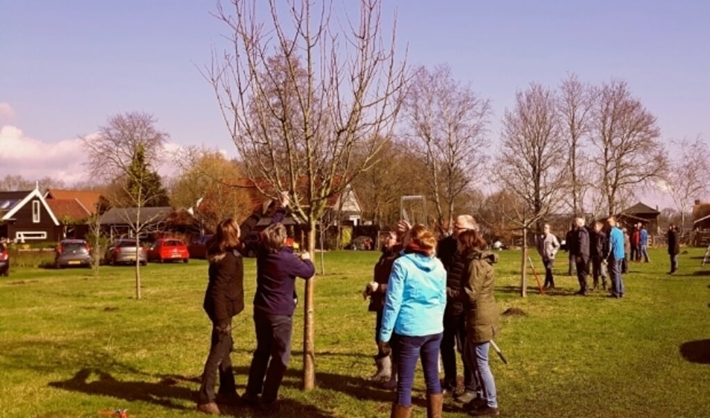 Onder begeleiding snoeien de cursisten een appelboom