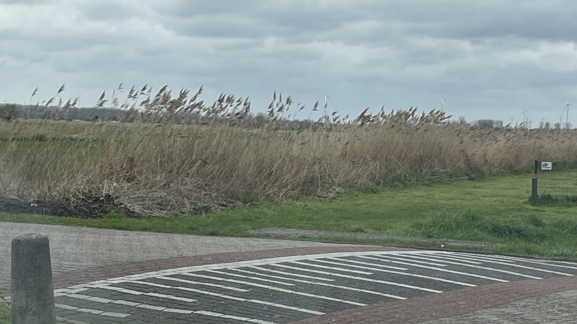  De plek waar de niuwe accommodatie moet komen. Foto: Wijnand Kooijmans 