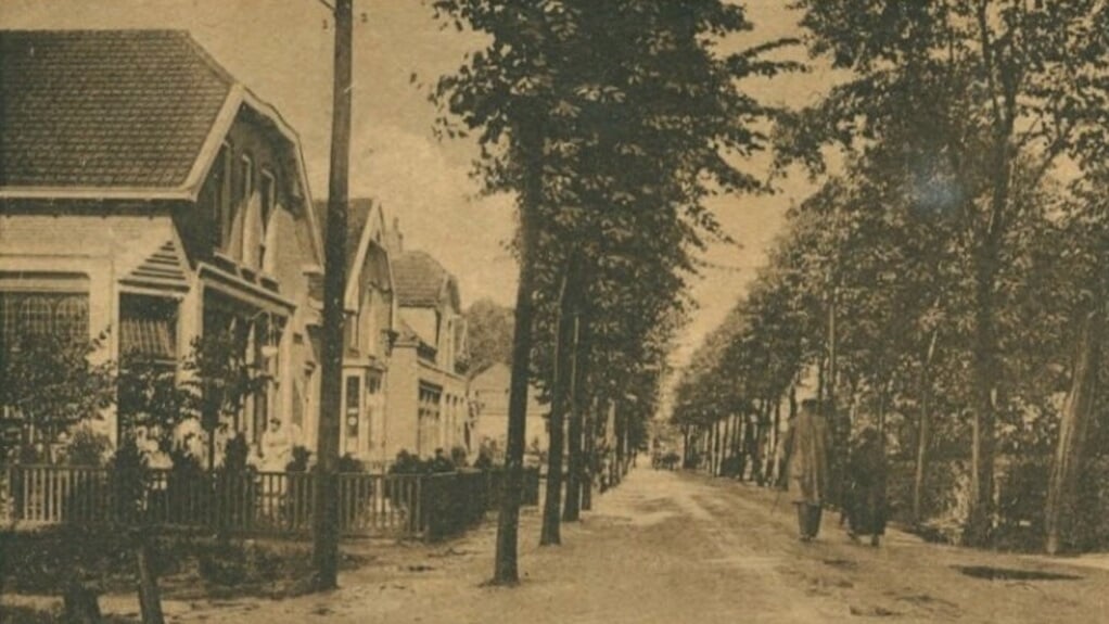  De Stationslaan ter hoogte van de Westerlaan rond 1928. Er stonden toen meer bomen dan nu. Foto: Streekarchivariaat 