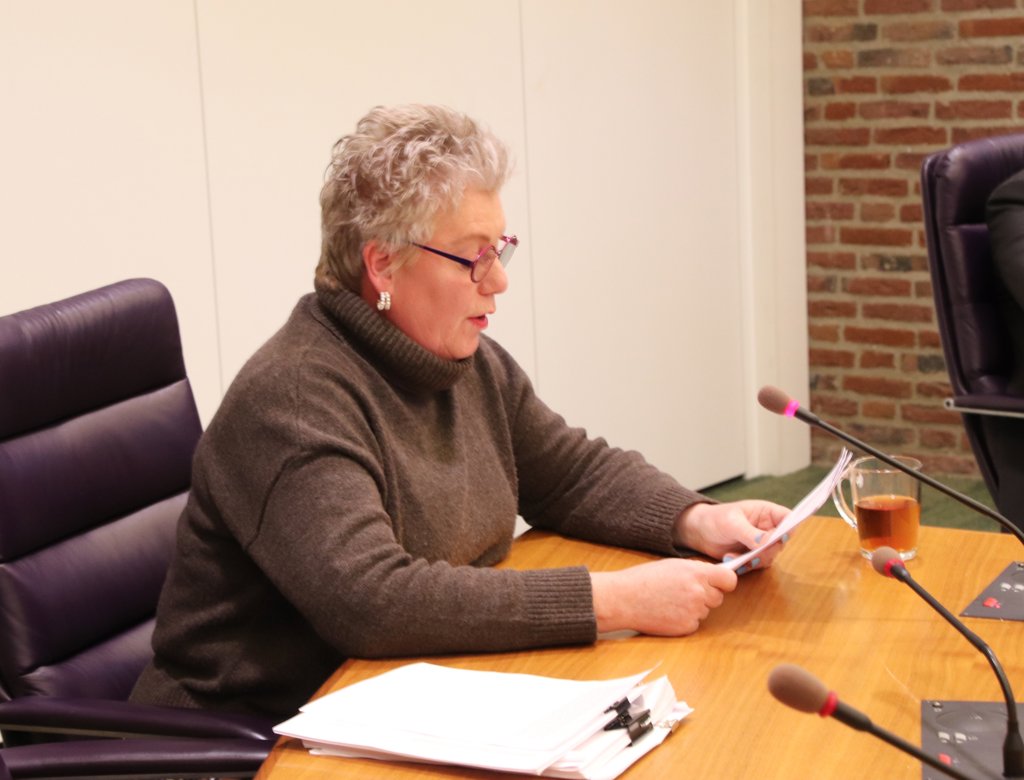  De onderzoeksjournalist Sandra Bonestroo was een van de insprekers in de raadscommisie Algemeen bestuur. Foto Dick Baas  