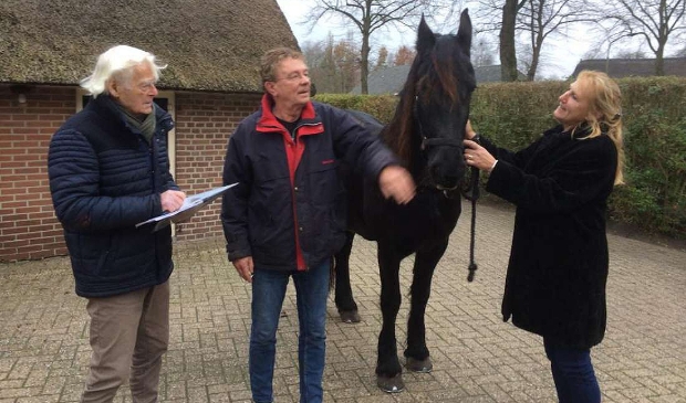 <p>Ben Boers, Jan Hiddink en Annemieke van der Neut-Hasselbach (vanaf links) bij de laatste schatting van het Paardenfonds Elp-Zuidveld.</p> 