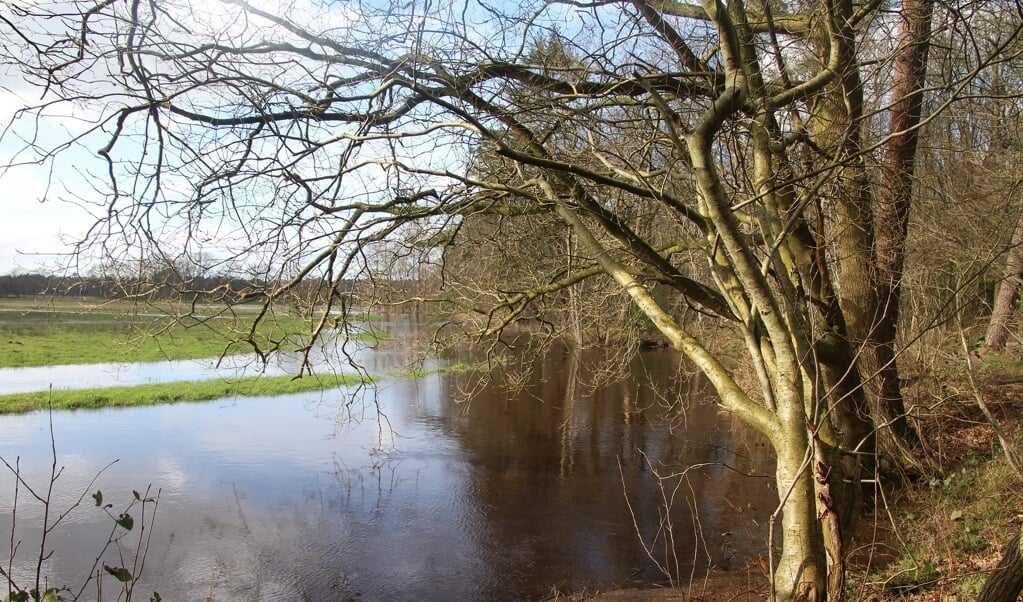 Het Drentsche Aa-gebied is één van de stikstofgevoelige Natura 2000-gebieden in Drenthe.
