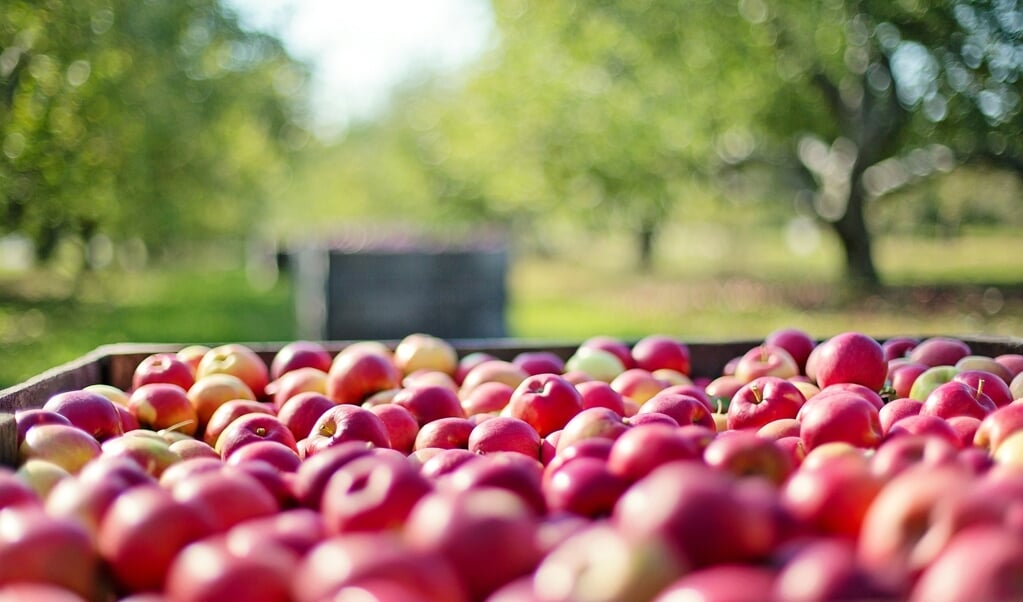 Appels spelen een belangrijke rol op de tuinfair.