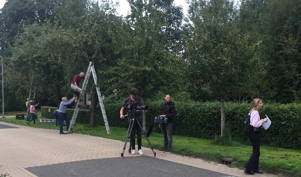 De cameraploeg van het tv-programma Het Dorp filmt de perenpluk in Gasselternijveen.
