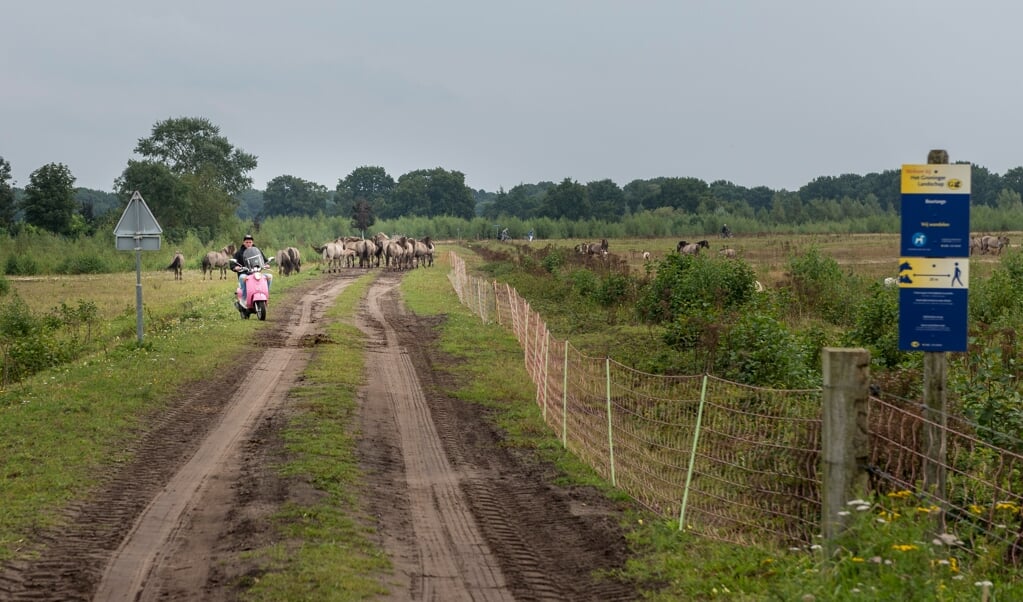De deelnemers gaan onderweg op zoek naar sporen in de natuur. (foto: Geert Job Sevink)