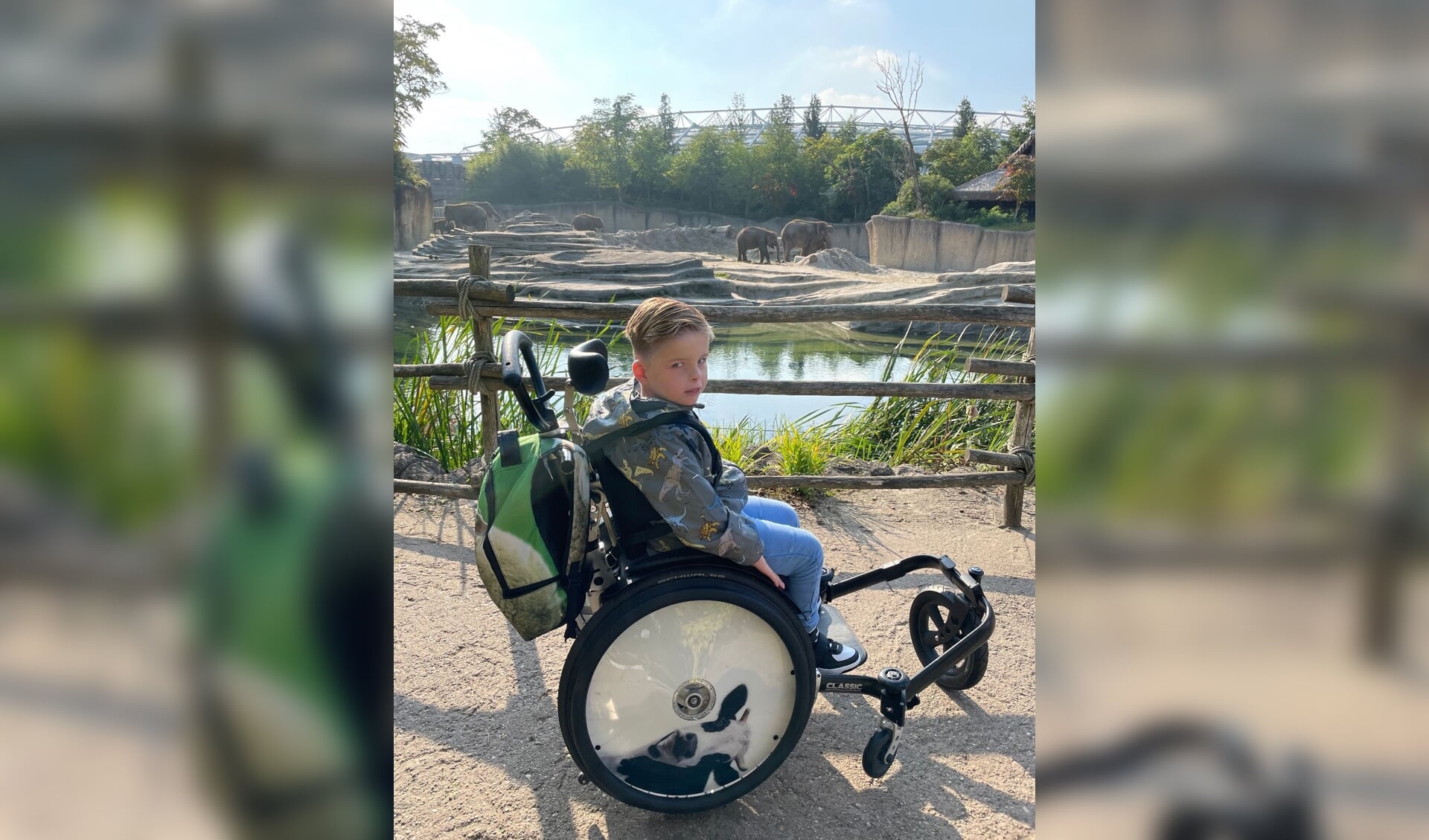 De 5-jarige Valentijn Mulder is door het HNRNPU-syndroom aan een rolstoel gebonden. (eigen foto)