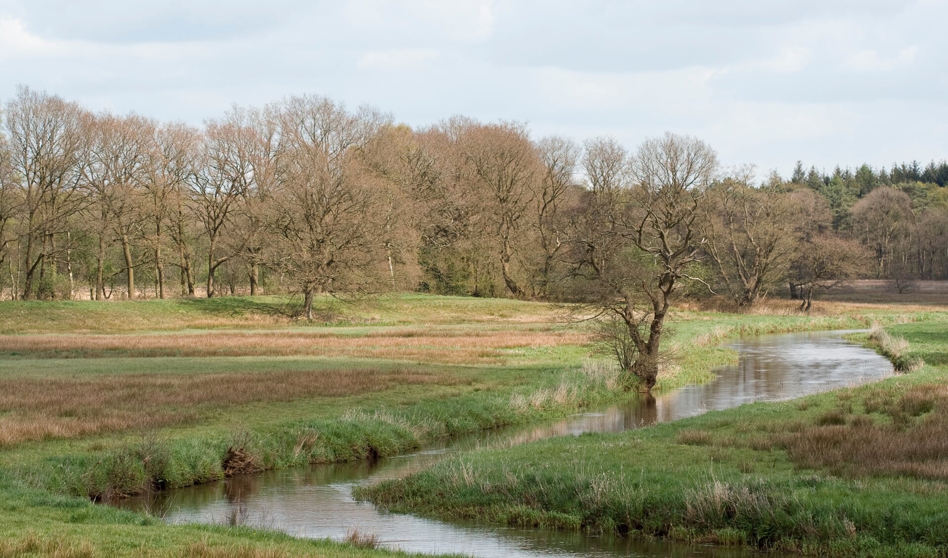 Het Oudemolensche Diep. (foto Nationaal Park Drentsche Aa/André Brasse)