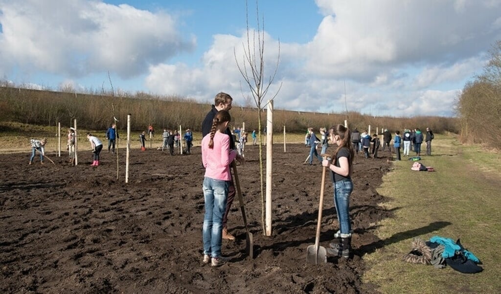 Op het schoolterrein zullen bloembollen en bomen worden geplant in het kader van Nationale Boomfeestdag. (eigen foto)