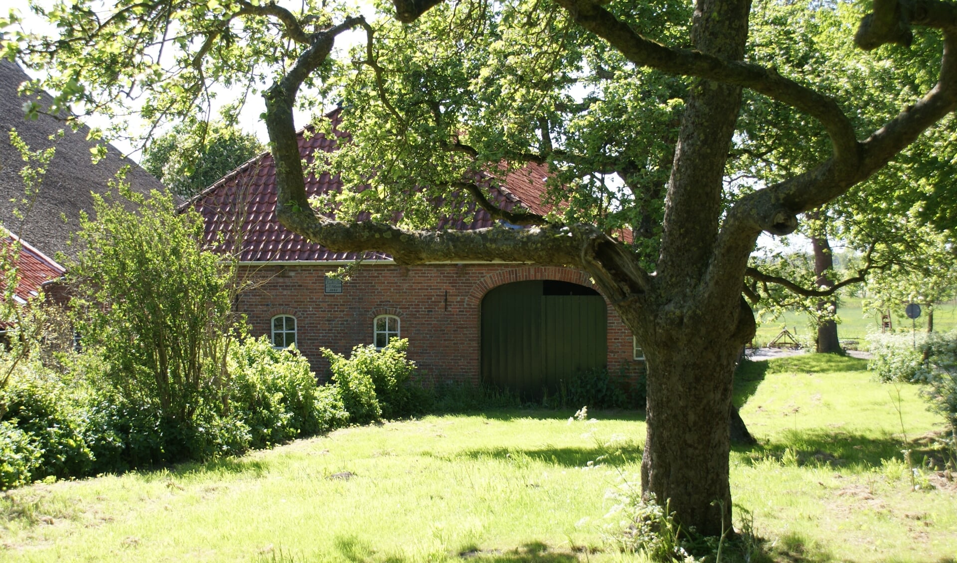 De Enne Jans Heerd in Maarhuizen is een voorbeeld van een groen boerenerf. Foto: Albert-Erik de Winter.