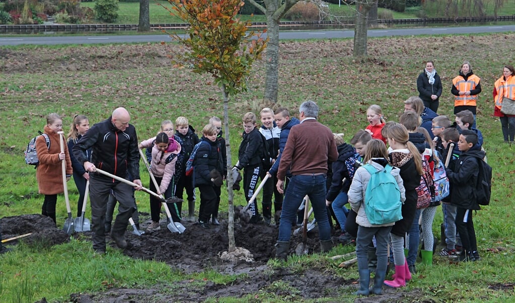 Kinderen hebben vandaag bomen geplant in Wildervank. Foto: Bert Woltjes. 
