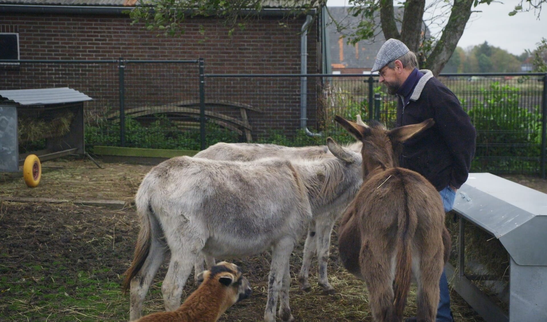 Gerard, de ezelfluisteraar van Emmen en omgeving, deelt zijn bijzondere gave met de kijkers (foto EO).