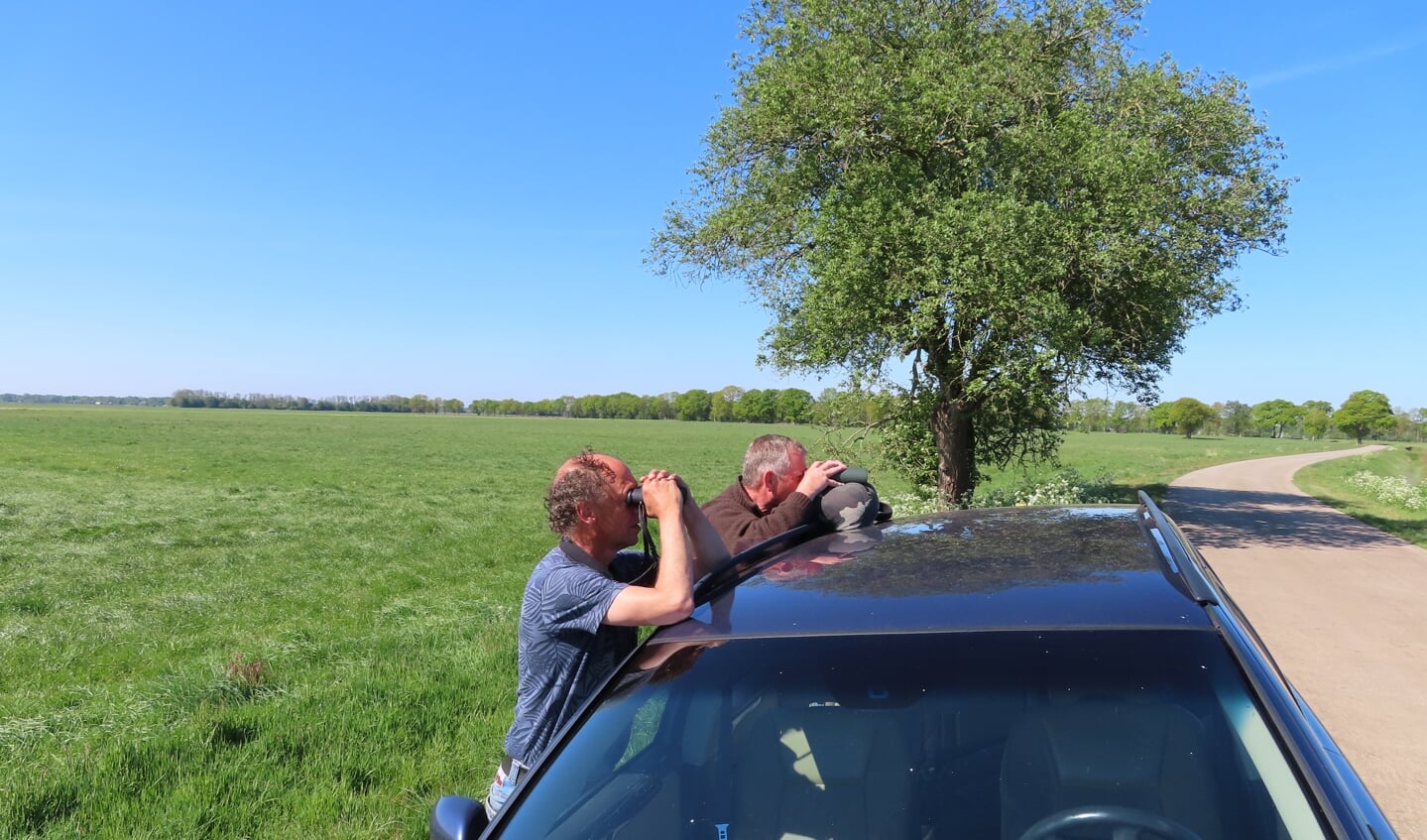 Vrijwilligers van Landschapsbeheer Drenthe observeren de weidevogels. 