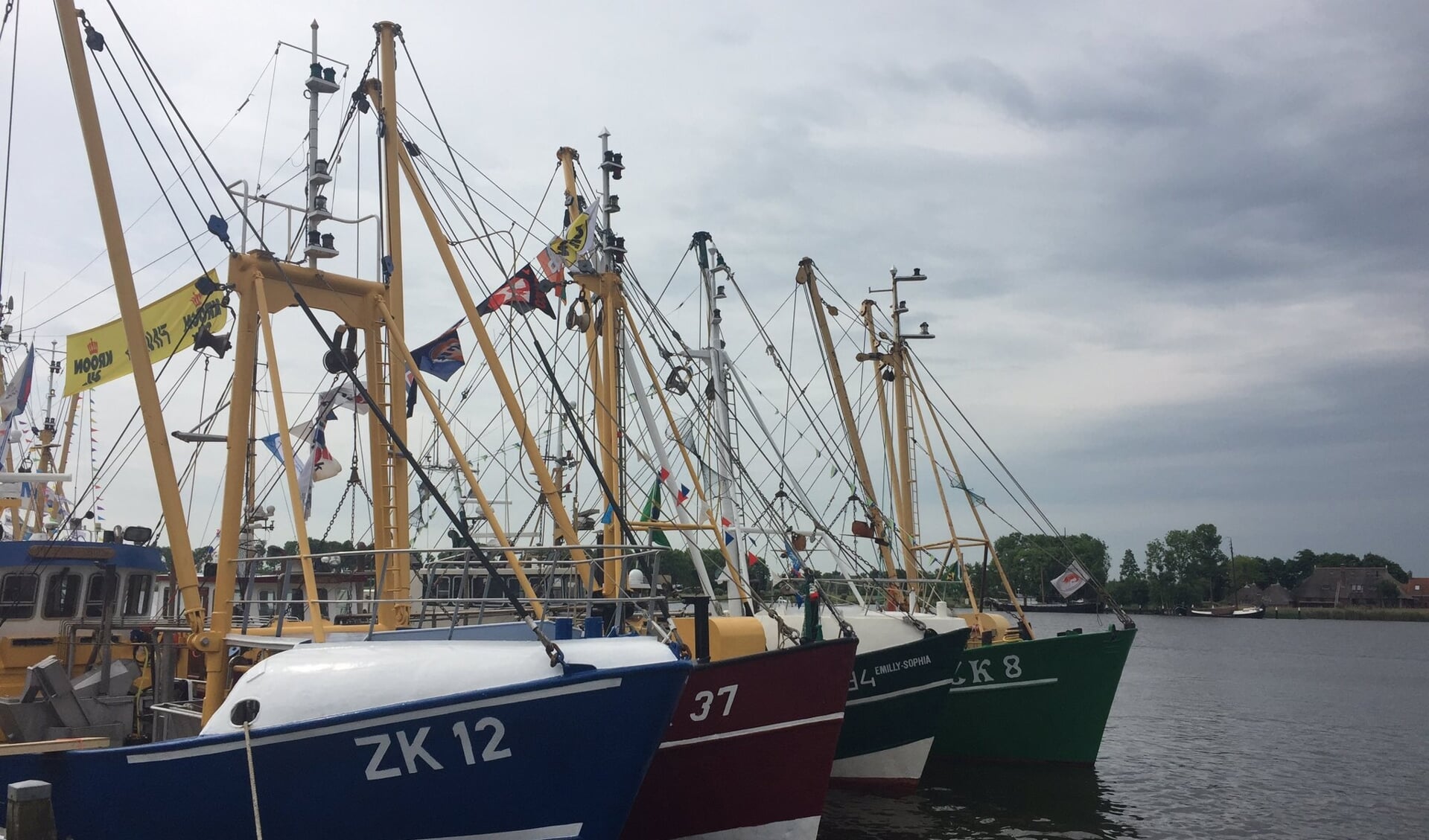 Garnalenkotters in de haven van Zoutkamp.